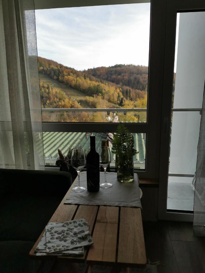Hearth Hill View Apartment Ustron Extérieur photo